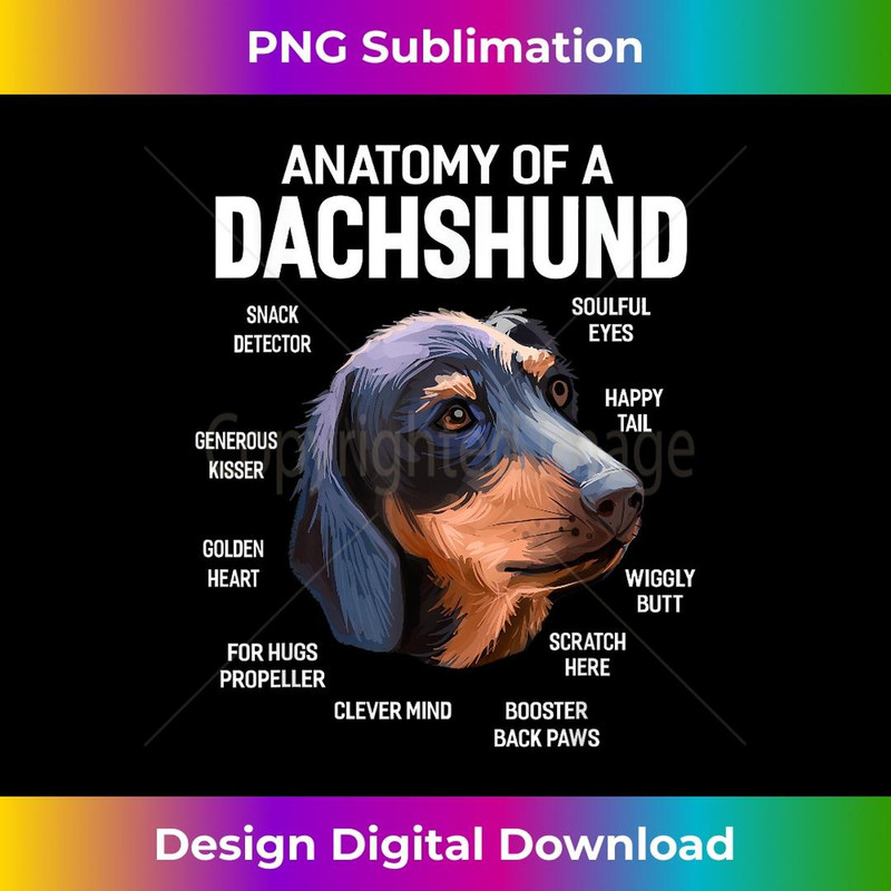 Dogs 365 Anatomy of a Dachshund Dog Funny - Sublimation-Ready PNG File