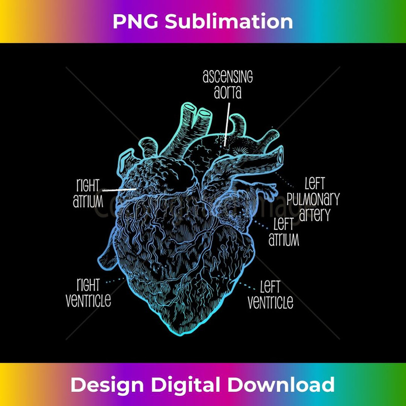 Parts Of Heart Cardiology Anatomical Cardiac 2 - PNG Transparent Digital Download File for Sublimation