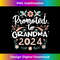 s Promoted to Grandma 2024 First Time New Grandma Pregnancy 2 - High-Resolution PNG Sublimation File