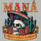 Mana Mexico Lindo Y Querido Tour 2024 Png Mana Band Png Mana Tour 2024 Png.jpg