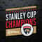 NHL Florida Panthers 2024 Stanley Cup Champions SVG.jpg