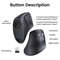 Ergonomic Vertical Mouse Wireless Bluetooth5.0 2.4G, 6 Mute Buttons, 4000DPI for MacBook Laptop PC