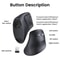 Ergonomic Vertical Mouse Wireless Bluetooth5.0 2.4G, 6 Mute Buttons, 4000DPI for MacBook Laptop PC