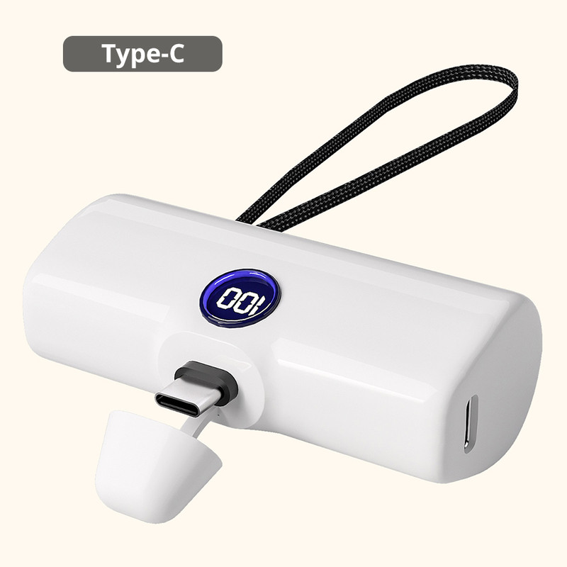 Power Bank For IPhone Samsung Xiaomi Powerbank Fast Charging Portable Charger External Battery Type 4