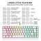 RGB Backlight Compact Wired Keyboard, Portable Small Membrane Keyboard for Laptop Tablet Windows Office & Gaming
