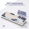 Gasket Muffler Structure Mechanical Keyboard, Tri Mode Wireless Connection, Full Key Hot Swap, 18 Lighting Effects