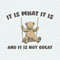 ChampionSVG-Bear-Meme-It-Is-What-It-Is-And-It-Is-Not-Great-SVG.jpeg