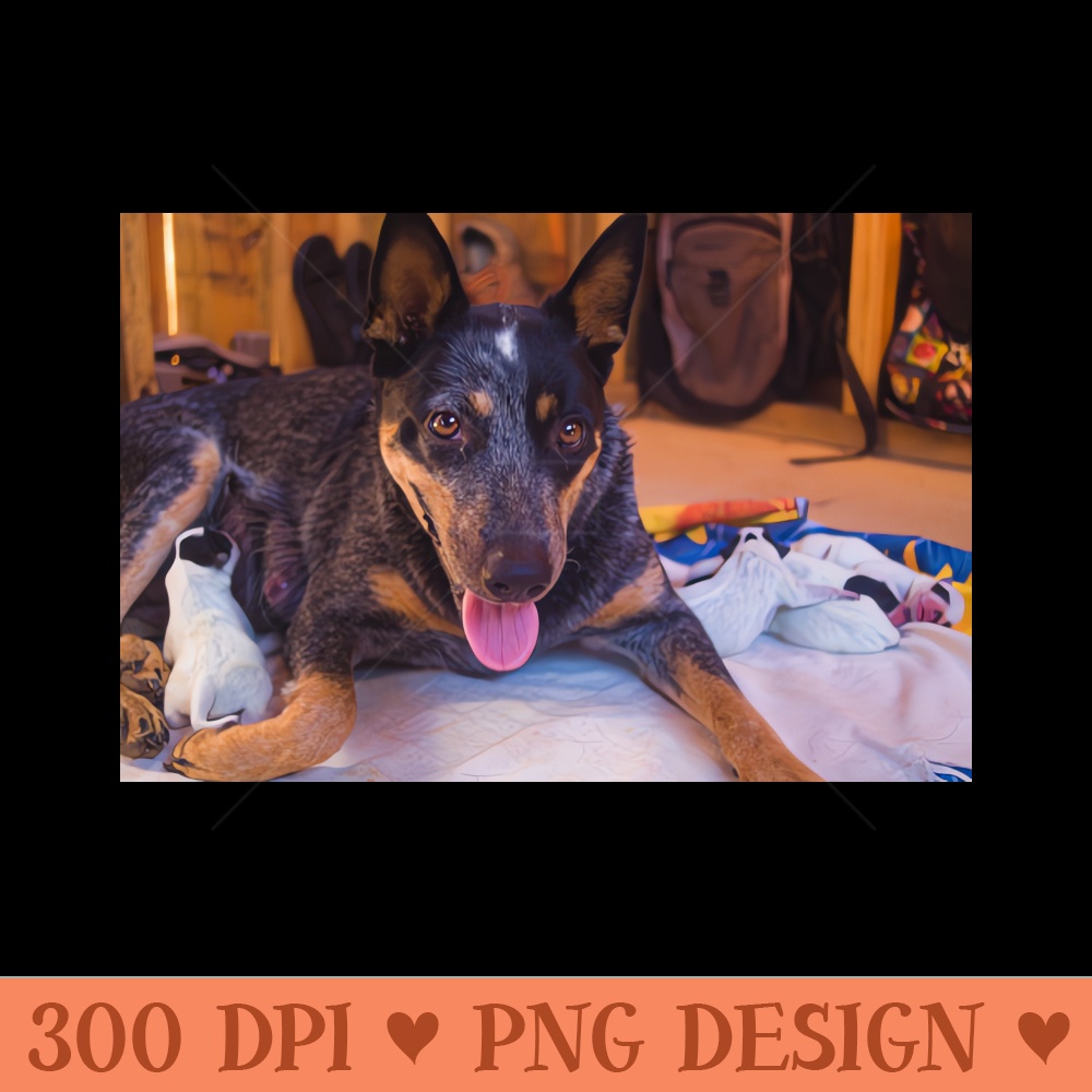 lla im ready - Digital PNG Graphics - Latest Updates