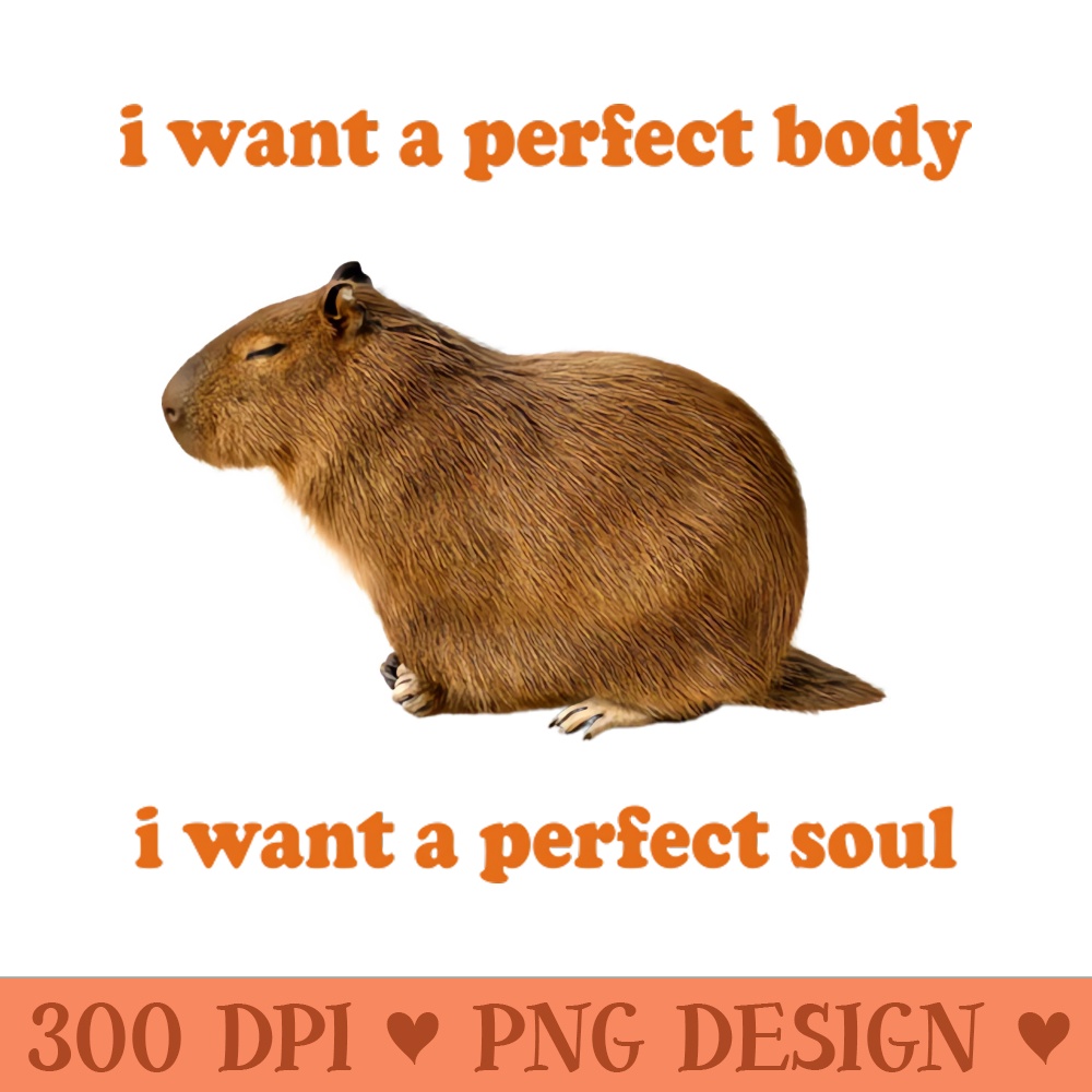 Capybara i want a perfect body i want a perfect soul Shirt, Funny Capybara Meme - Digital PNG Art - Unique