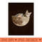 Full Moon - PNG Download Library - High Quality 300 DPI