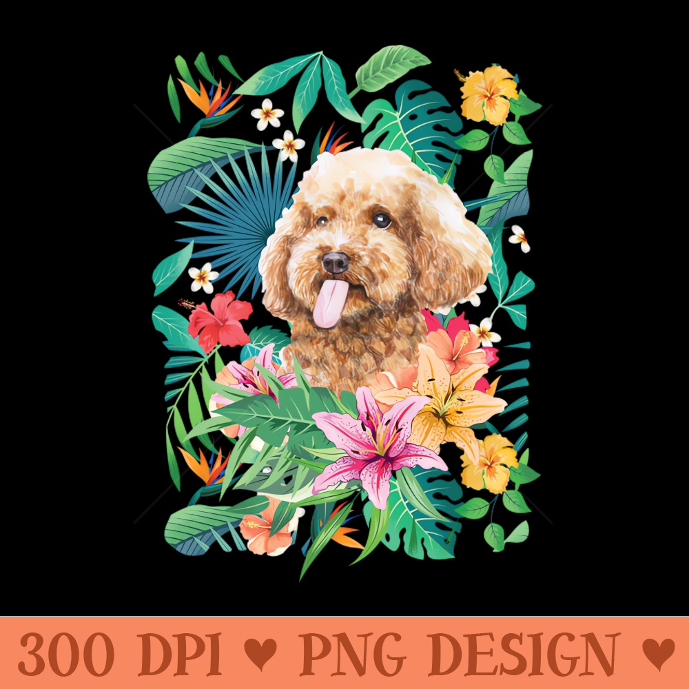 Tropical Apricot Toy Poodle - PNG Download Library - Convenience