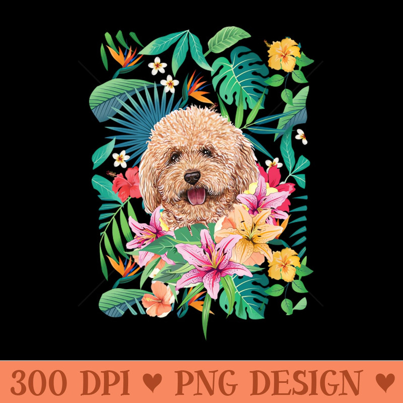 Tropical Red Toy Poodle - High Quality PNG - Good Value