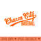 Charm City Baseball - - Professional Design