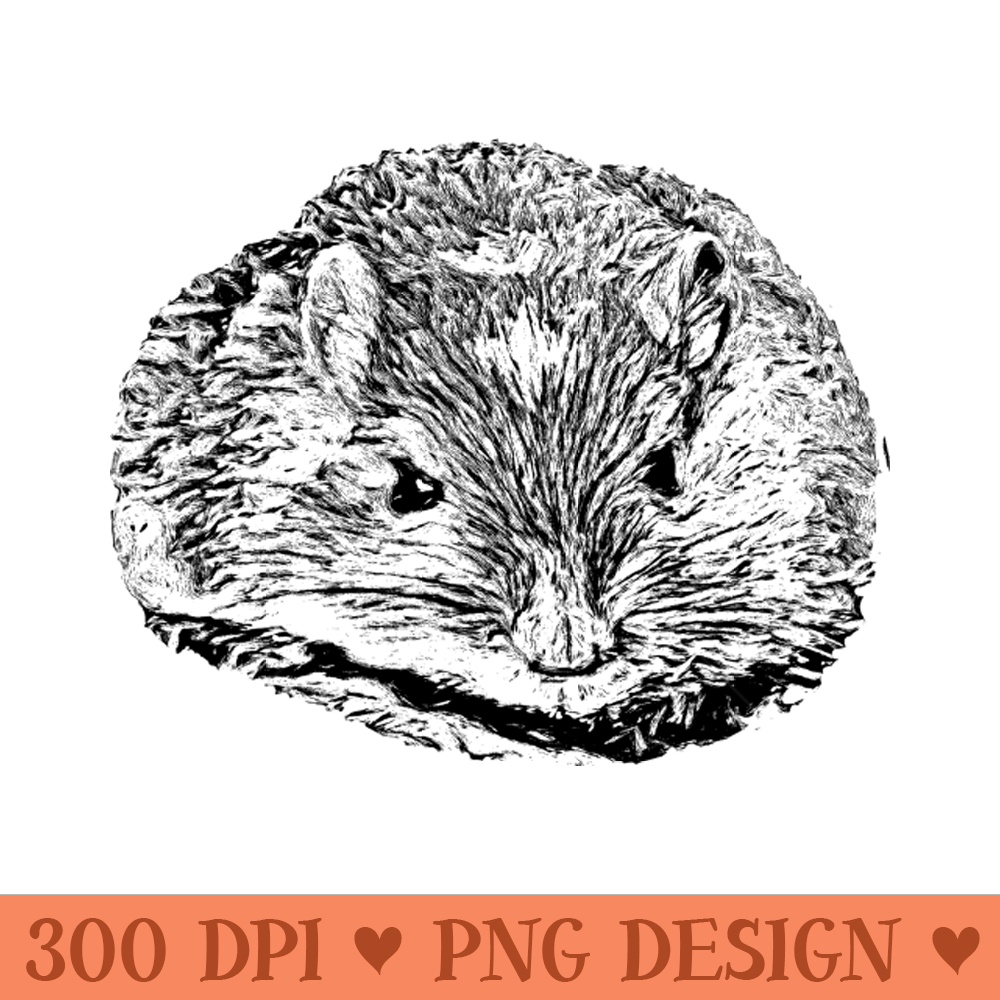 Mouse - Download PNG Graphics - Flexibility