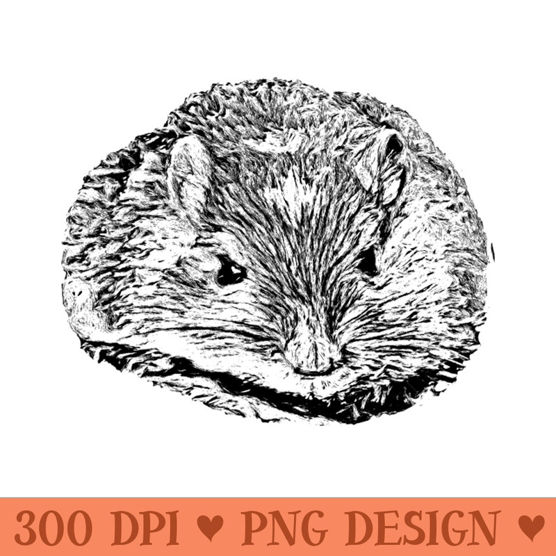 Mouse - Download PNG Graphics - Flexibility