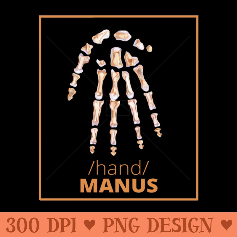 MANUS hand ANATOMY SET - PNG Download Store - High Quality 300 DPI