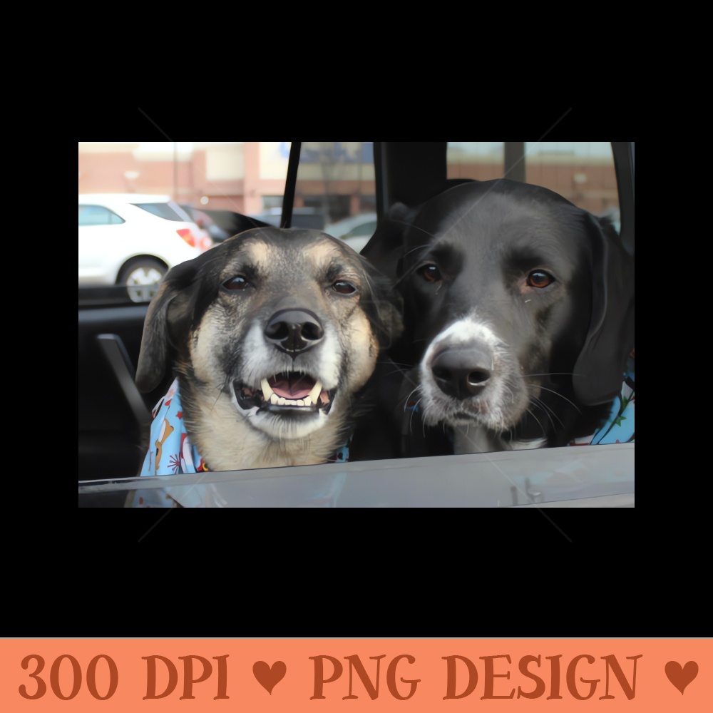 Shannon and Abby - Free PNG Downloads - High Quality 300 DPI