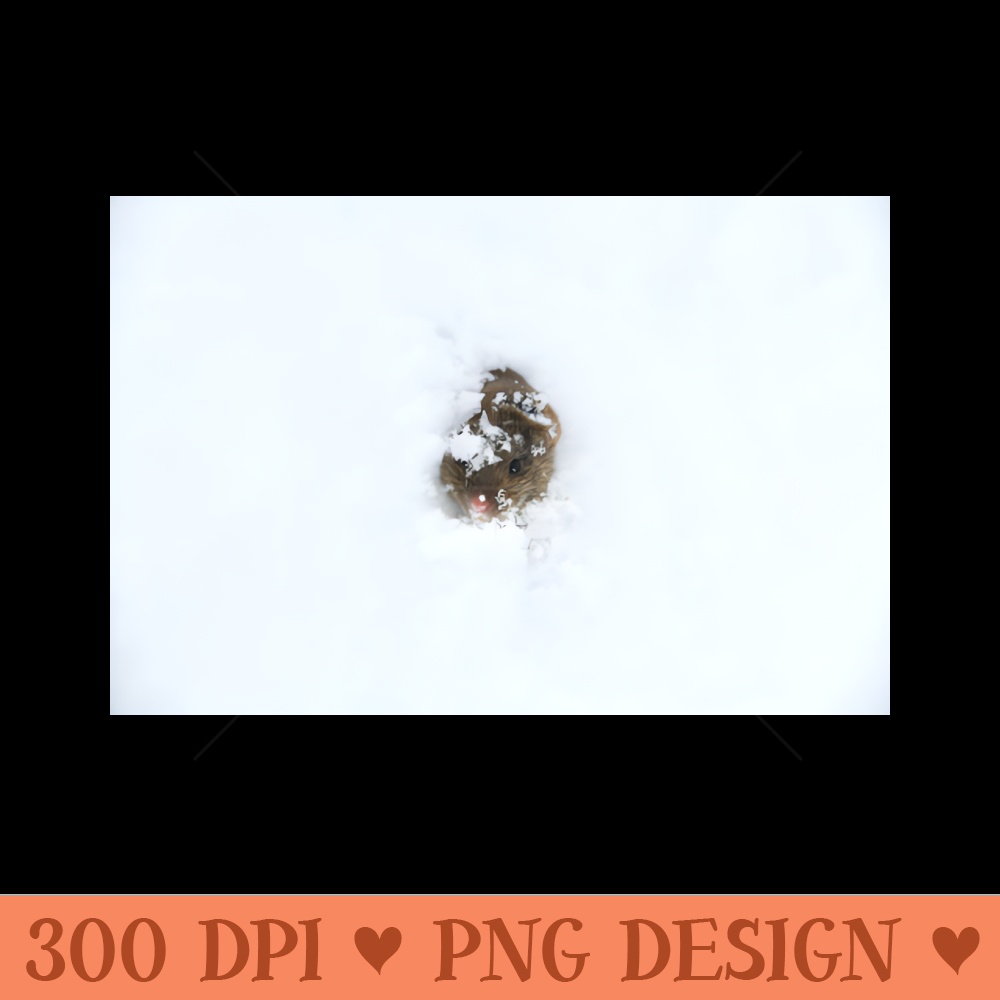 Mouse in the snow  Swiss Artwork Photography - Digital PNG Download - Good Value