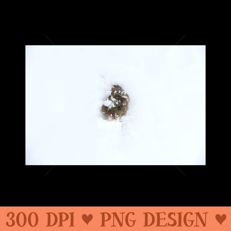 Mouse in the snow  Swiss Artwork Photography - Digital PNG Download - Good Value