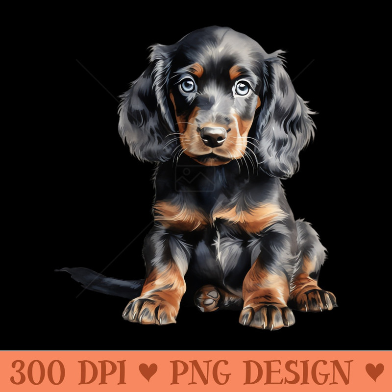 Puppy Gordon Setter - - Flexibility
