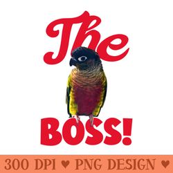 the boss green cheek conure parrot bird, love for birds - digital png art