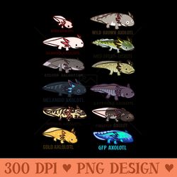types of axolotls - png download collection