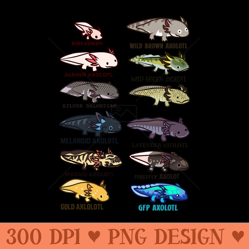 Types of Axolotls - PNG Download Collection - Professional Design