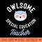 Owlsome Special Education Teacher Pun Funny Gift Idea - Downloadable PNG - High Quality 300 DPI