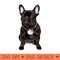Frenchie - PNG Downloadable Resources - High Quality 300 DPI