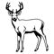 Untitled-1-01.png