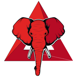 delta sigma theta 1913 svg, delta sigma theta, sorority flag, sorority gifts, sorority sticker, sorority shirt,