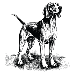 american foxhound svg, foxhound vector, foxhound, dog svg, vector, svg, digital files 1