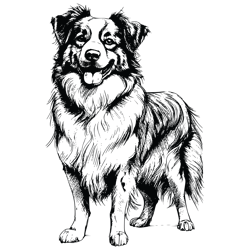 australian shepherd dog svg, australian shepherd svg, australian shepherd vector, australian shepherd, dog svg