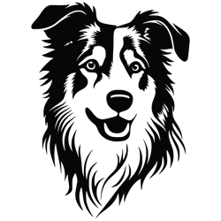 australian shepherd dog svg, australian shepherd svg, australian shepherd vector, australian shepherd 2