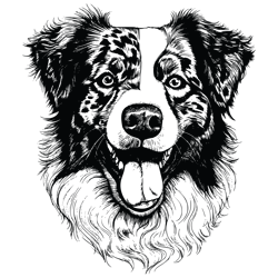 australian shepherd dog svg, australian shepherd svg, australian shepherd vector, australian shepherd 3