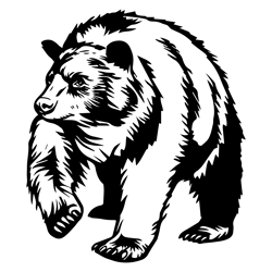 bear svg, bear png, bear vector, bear, svg, png, eps, digital download 39