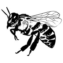 bee svg, bee png, bee vector, bee, svg, png, eps, digital download 1