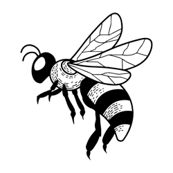 bee svg, bee png, bee vector, bee, svg, png, eps, digital download 8