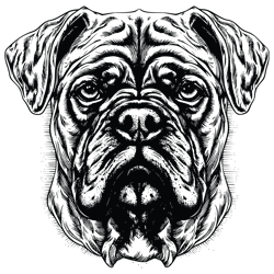 bullmastiff svg, dog svg, bullmastiff png, bullmastiff vector, bullmastiff, vector 1