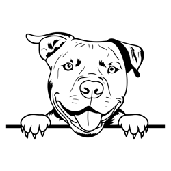 pitbull svg, american pit bull svg, pitbull clipart, pitbull vector, pitbull cricut, dog paw png 6