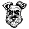 Untitled-1-01.png