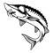 Untitled-1-01.png