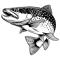Untitled-1-01.png