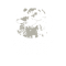 Untitled-1-01.png