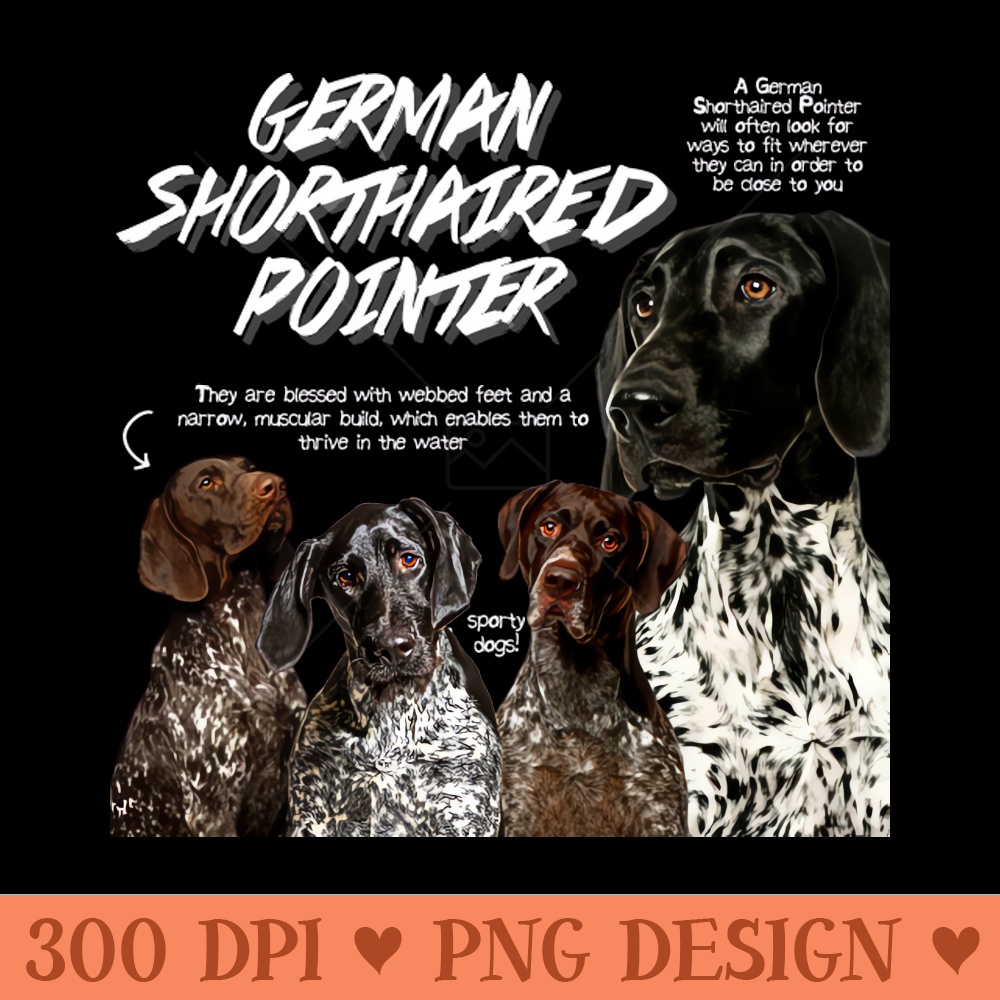 German Shorthaired Pointer - PNG Clipart - Good Value
