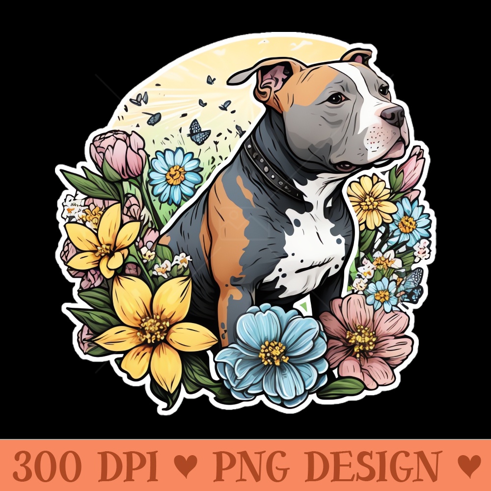 Pitbull - - Latest Updates