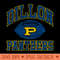 Dillon Panthers Football - PNG Downloadable Resources - Unique