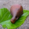 Handmade Ceramic Whistle Birdclay Whistle Birdclay OcarinaCeramic OcarinaCeramic Fluteukrainian Whistle Bird 8