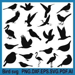 bird svg, birds svg, tweety bird svg
