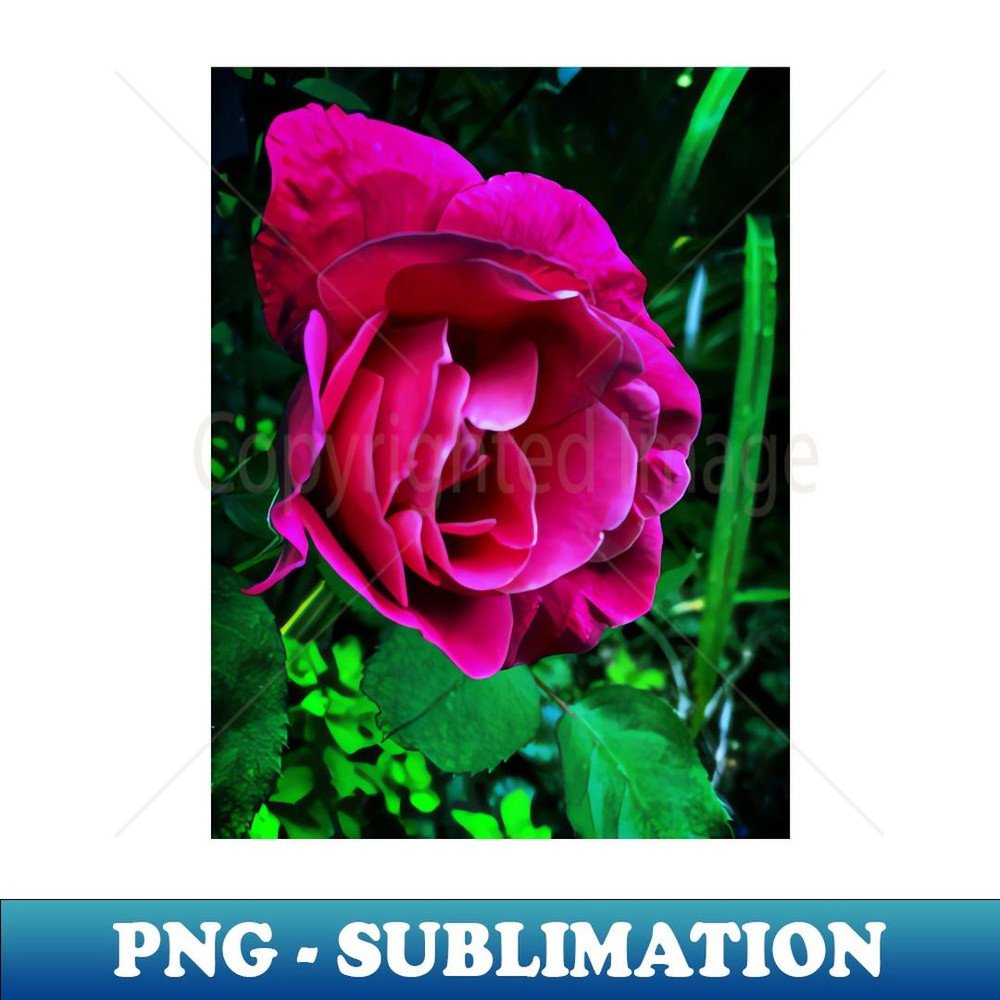 Chinese Rose - Artistic Sublimation Digital File